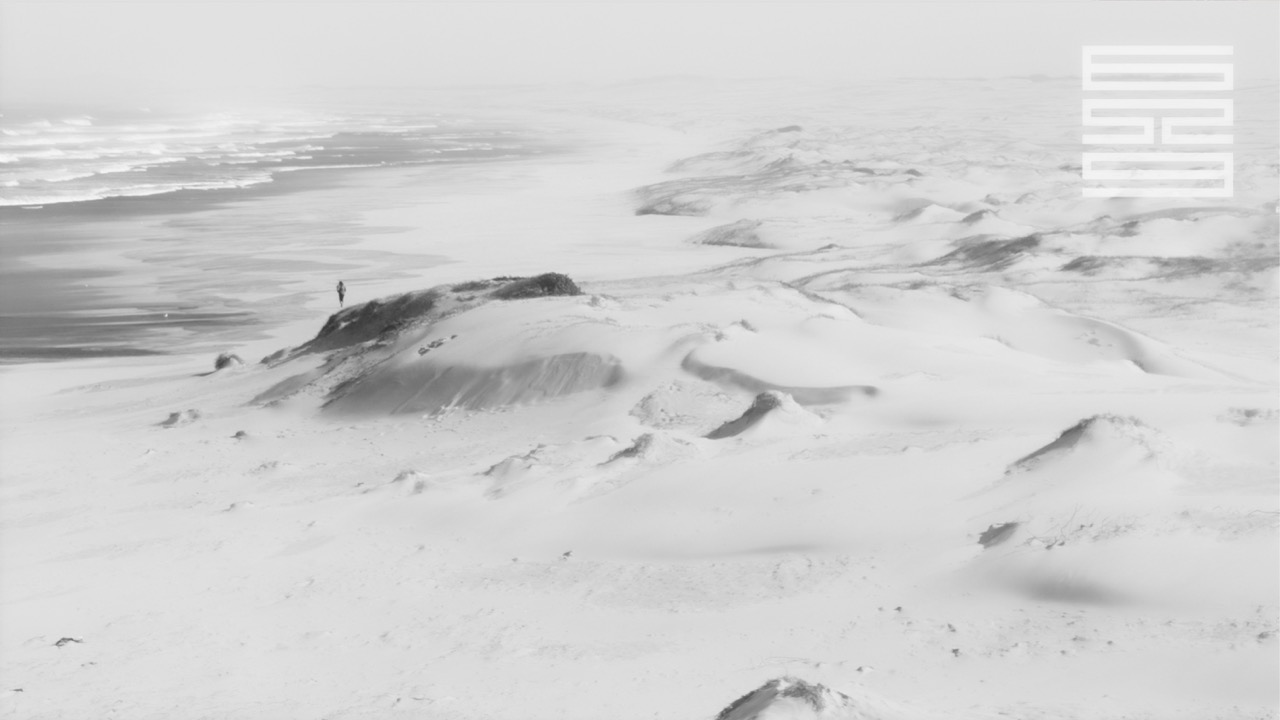Stockton Dunes